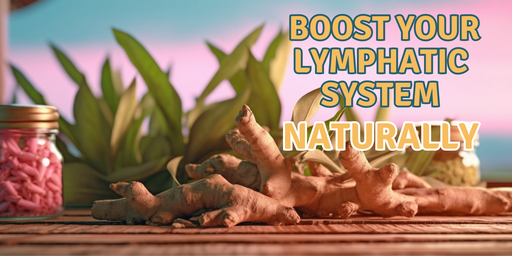 Can Natural Herbs Boost Your Lymphatic System?
