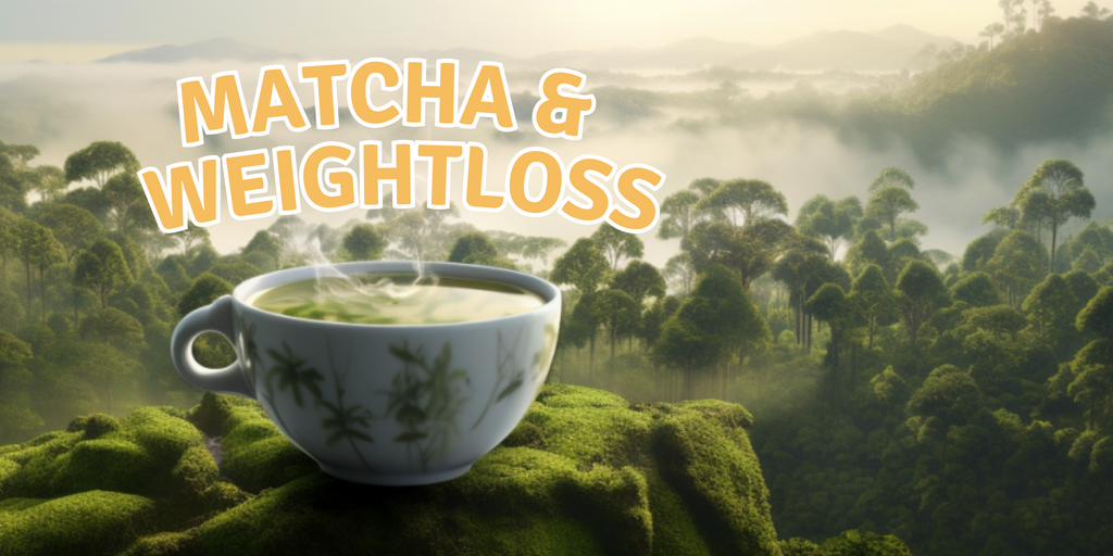 Does Drinking Matcha Before Bed Enhance Your Health and Weight Loss?